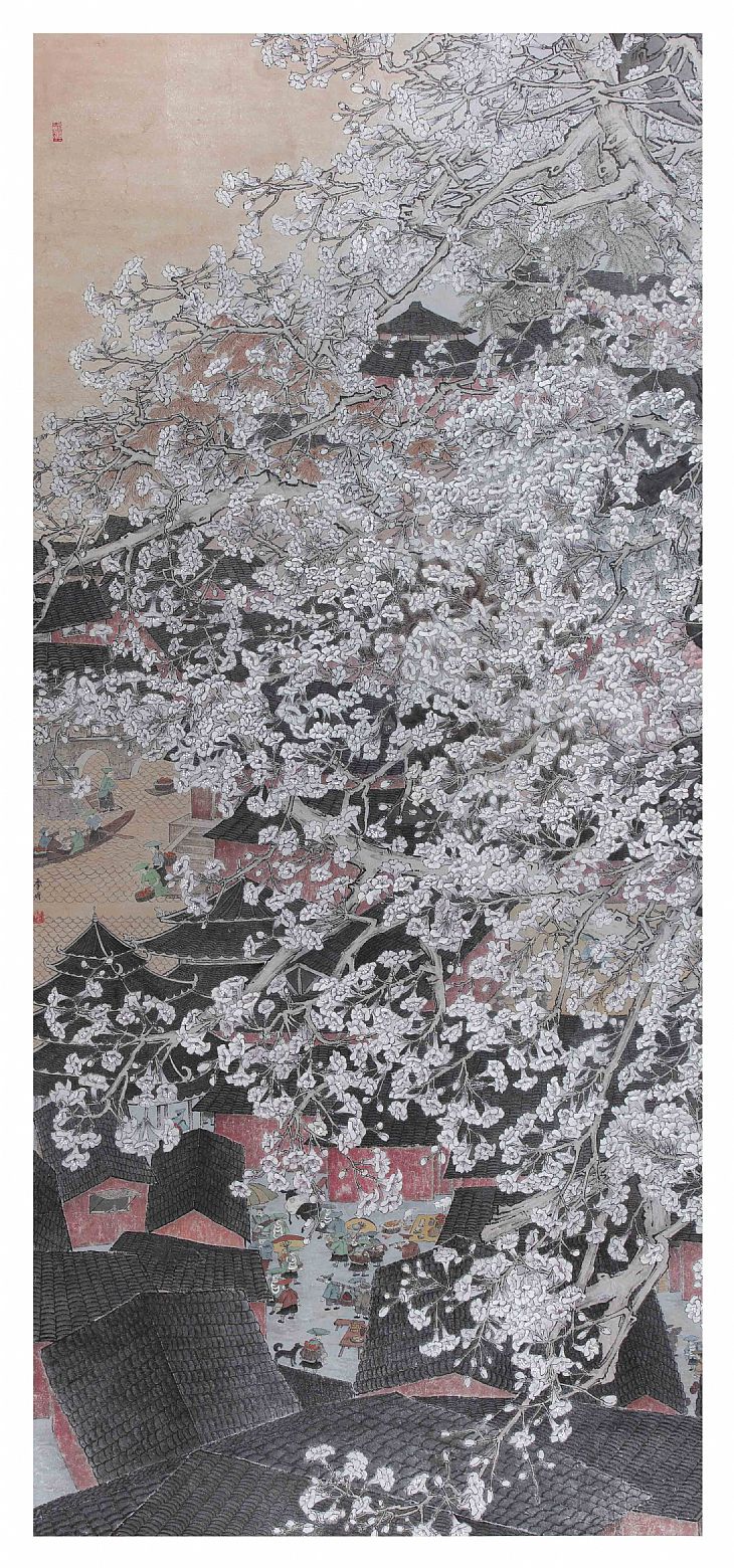 《梧桐花开》