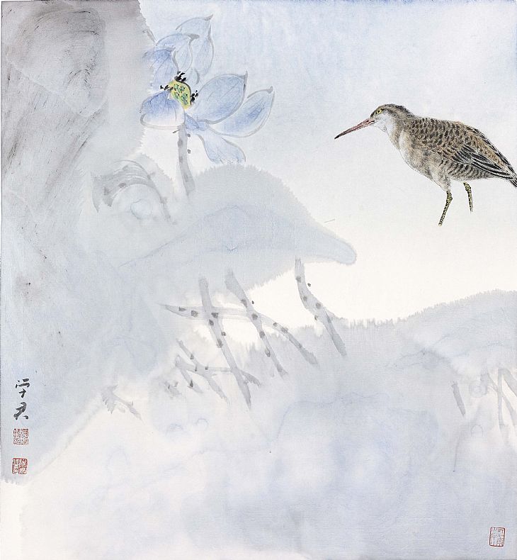 《淡荷幽禽》